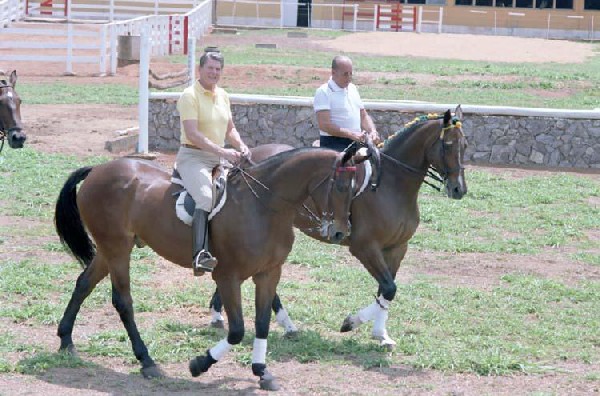 Documento 5:President Reagan riding horses with President João Baptista de Oliveira Figueiredo of Brazil, Brasilia, Brasil. 1 de dezembro de 1982