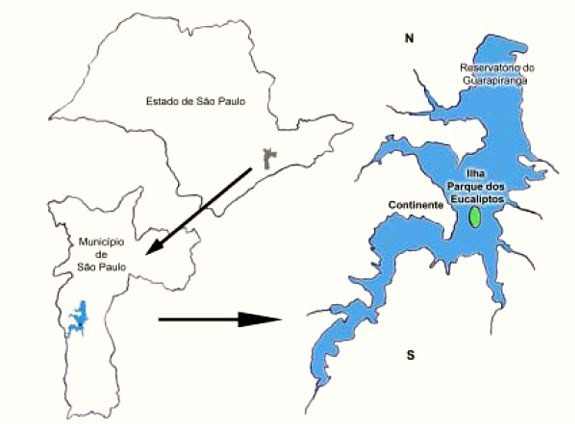 População de São Paulo abraça represa Guarapiranga em mobilização