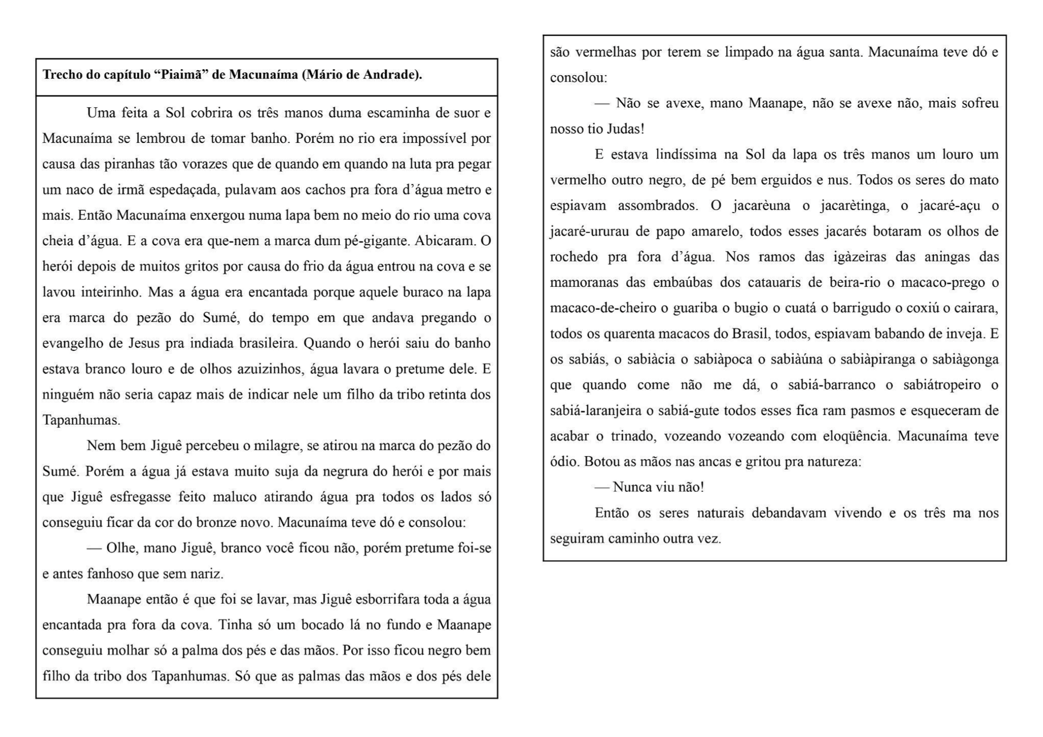 ficha com o trecho celecionado